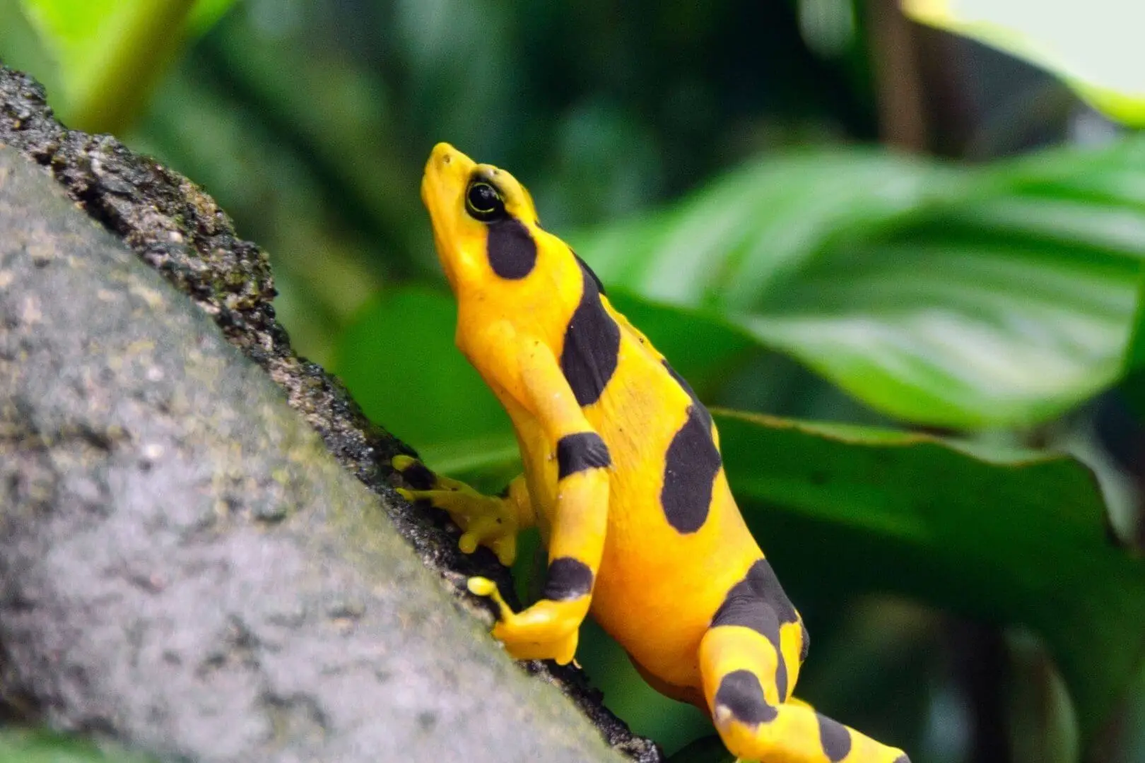 Edificios modernos al anochecer