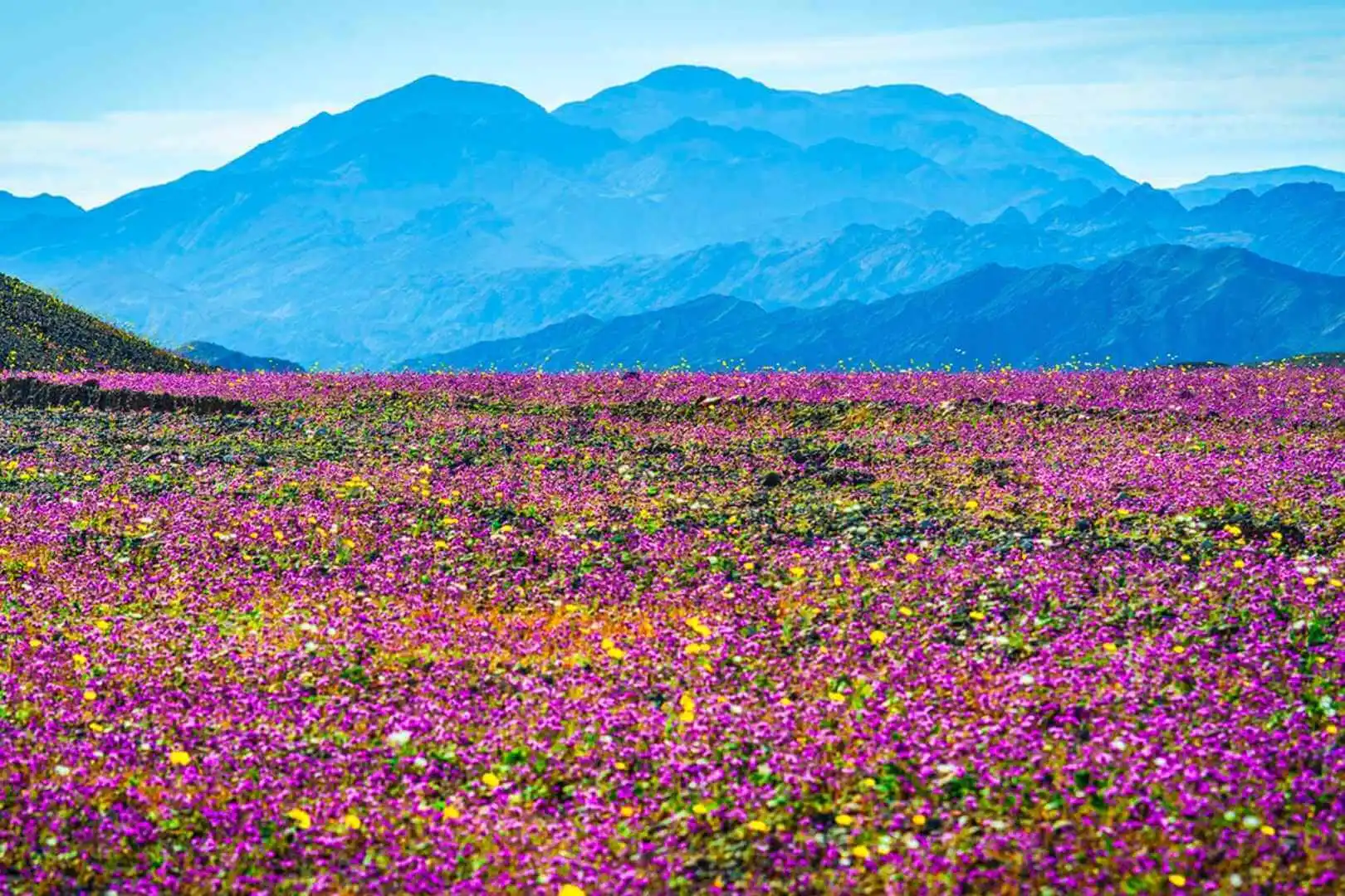 Maiores alias consequatur aut perferendis dolor.